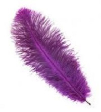 Catușe Canon C-EXV34 (m)